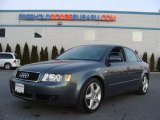 Dolphin Gray Pearl Audi A4 in 2003