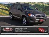 2010 Toyota RAV4 I4 4WD