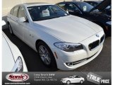 2013 Alpine White BMW 5 Series 528i Sedan #76873840