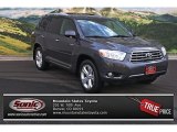 2009 Magnetic Gray Metallic Toyota Highlander Limited 4WD #76928658