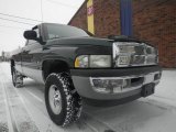 2001 Forest Green Pearl Dodge Ram 1500 SLT Regular Cab 4x4 #76929330