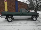 2001 Dodge Ram 1500 SLT Regular Cab 4x4 Exterior