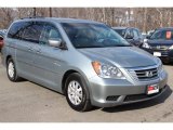 Slate Green Metallic Honda Odyssey in 2010