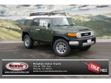 2013 Army Green Toyota FJ Cruiser 4WD #76928638