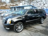 2010 Black Raven Cadillac Escalade ESV Premium AWD #76987668