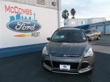 2013 Sterling Gray Metallic Ford Escape SEL 2.0L EcoBoost #77042476