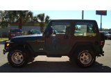 1998 Bright Jade Satin Glow Jeep Wrangler SE 4x4 #77042681