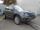 2013 Pepper Gray Metallic Volkswagen Tiguan SE #77077455