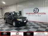 2010 Ford Escape XLT V6
