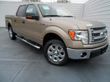 2013 Ford F150 XLT SuperCrew