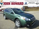 2013 Cypress Green Pearl Subaru Outback 2.5i Limited #77107536