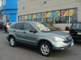 2011 Opal Sage Metallic Honda CR-V EX 4WD #77167531