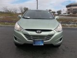 2011 Kiwi Green Hyundai Tucson GLS #77166925