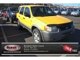 2002 Chrome Yellow Ford Escape XLT V6 4WD #77166783
