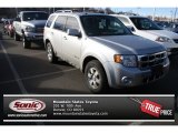 Ingot Silver Metallic Ford Escape in 2012