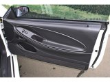 2002 Ford Mustang GT Coupe Door Panel