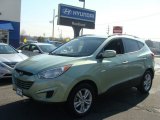 2012 Kiwi Green Hyundai Tucson GLS #77270983
