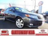 2010 Platinum Graphite Kia Optima EX #77361827