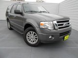 2011 Sterling Grey Metallic Ford Expedition XLT #77361575