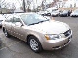 2008 Hyundai Sonata GLS