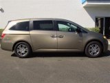 Mocha Metallic Honda Odyssey in 2013