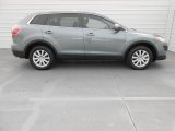 Dolphin Gray Mica Mazda CX-9 in 2010