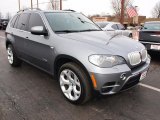 Platinum Gray Metallic BMW X5 in 2011