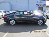 2011 Pacific Blue Pearl Hyundai Sonata SE #77474725
