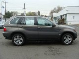 2006 Stratus Grey Metallic BMW X5 4.4i #7739641