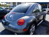 Platinum Grey Metallic Volkswagen New Beetle in 2005