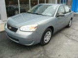 Golden Pewter Metallic Chevrolet Malibu in 2007