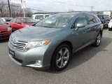 Aloe Green Metallic Toyota Venza in 2010