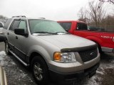 Silver Birch Metallic Ford Expedition in 2006