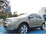 2013 Mineral Gray Metallic Ford Edge Limited #77611207