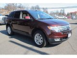 Cinnamon Metallic Ford Edge in 2010