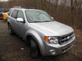 2010 Ingot Silver Metallic Ford Escape Limited 4WD #77674952