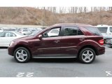 2010 Mercedes-Benz ML 550 4Matic Exterior