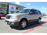 Pueblo Gold Metallic Ford Expedition in 2005