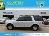 2010 Ingot Silver Metallic Ford Expedition XLT #77762155