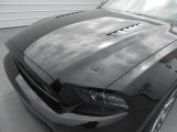 2014 Ford Mustang GT Coupe Hood