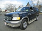 2001 Ford Expedition Black Clearcoat