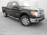 2013 Ford F150 XLT SuperCrew 4x4