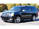2010 Cadillac Escalade Luxury AWD Data, Info and Specs