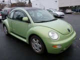 2000 Volkswagen New Beetle Green