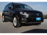 2013 Volkswagen Tiguan SE