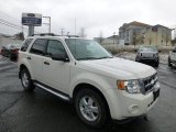 2009 White Suede Ford Escape XLT V6 4WD #77819436