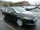 2013 Tuxedo Black Metallic Ford Fusion SE #77892148