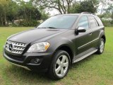 2009 Mercedes-Benz ML 350