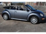 Platinum Grey Metallic Volkswagen New Beetle in 2005
