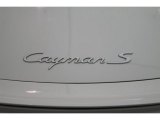 2006 Porsche Cayman S Marks and Logos
